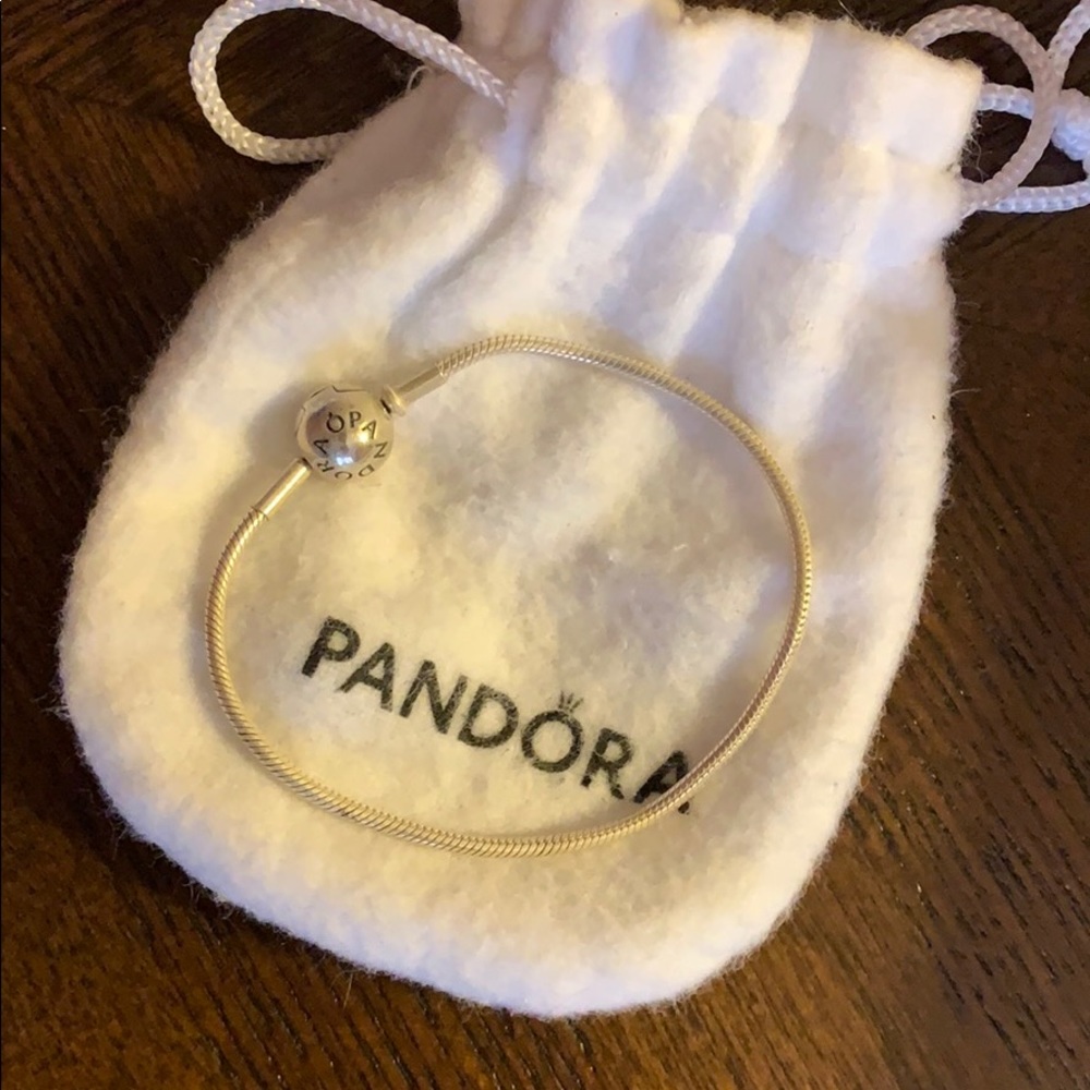 💫Guaranteed Auth Pandora Thin Charm Bracelet💫